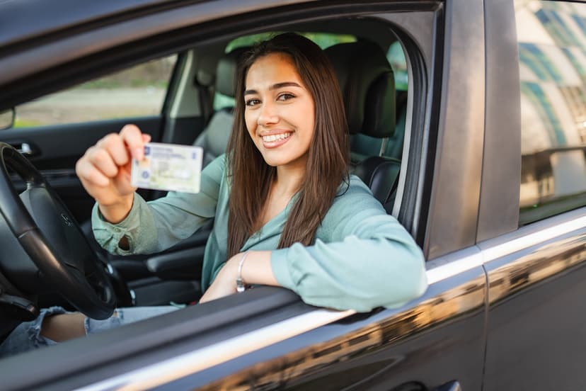 registro de propiedad vehicular sunarp