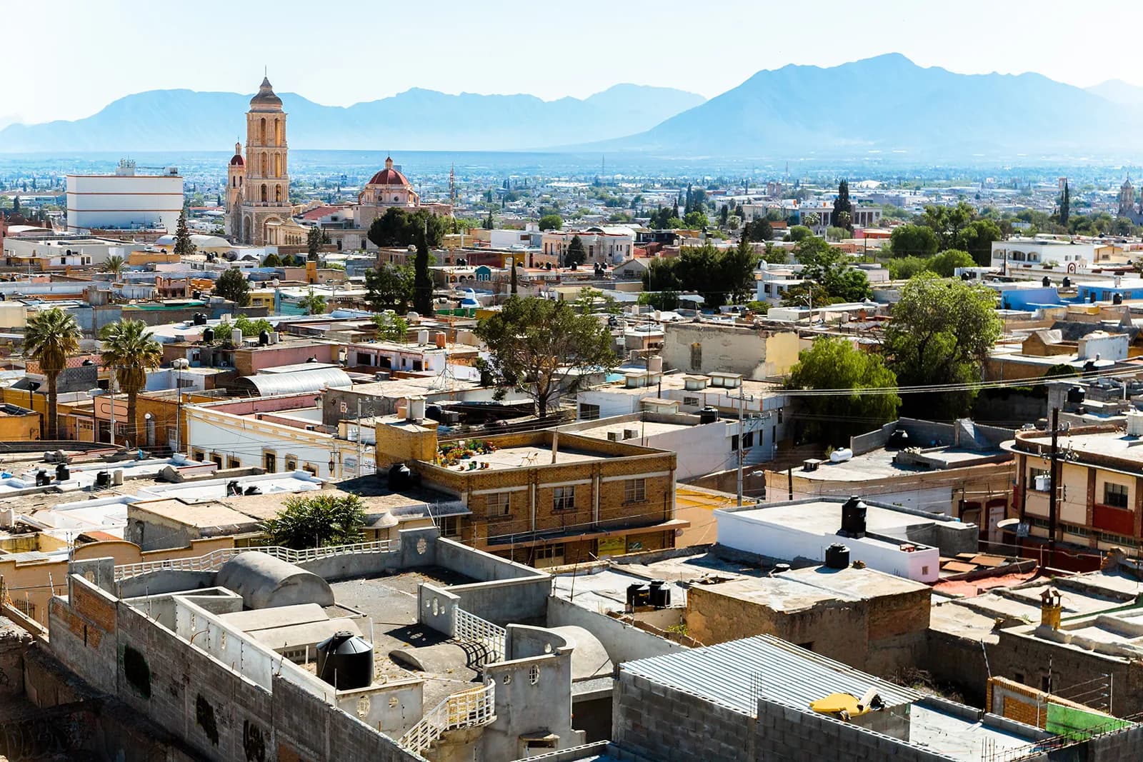 Saltillo
