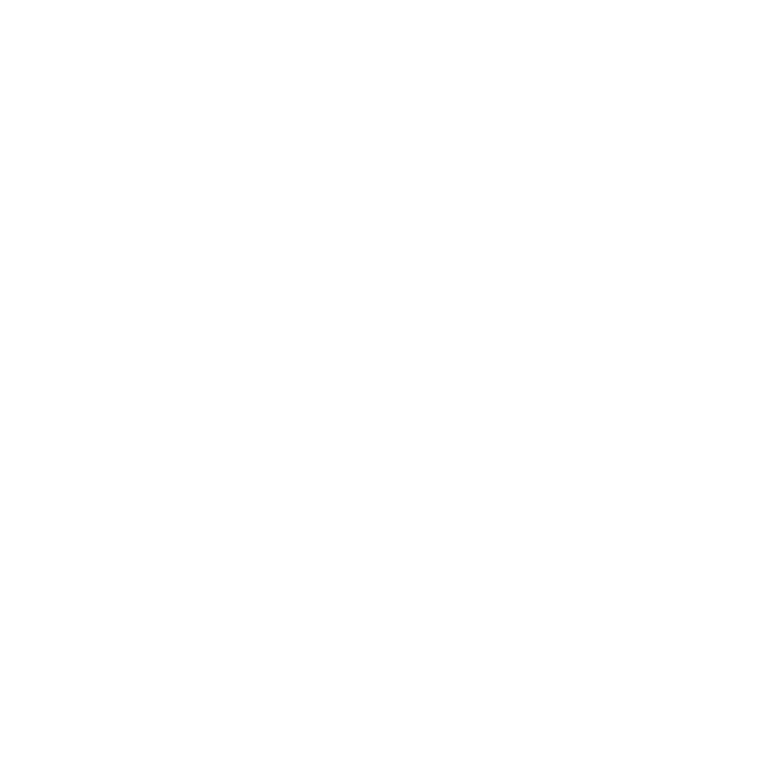 Logo de Seguridad