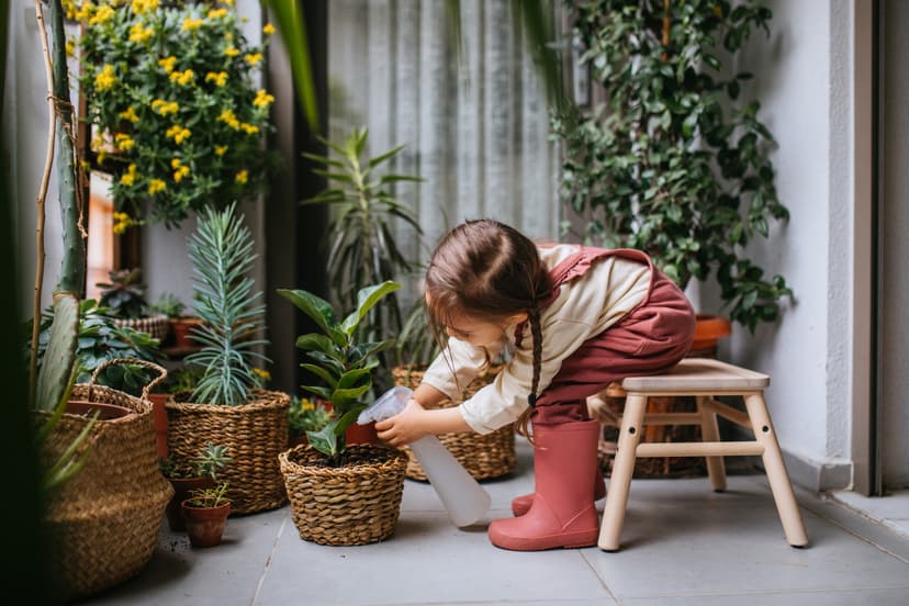 Plantas para hogar en la CDMX