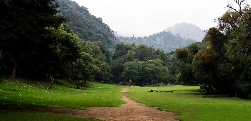 Parques atractivos, Los Dinamos Ciudad de México
