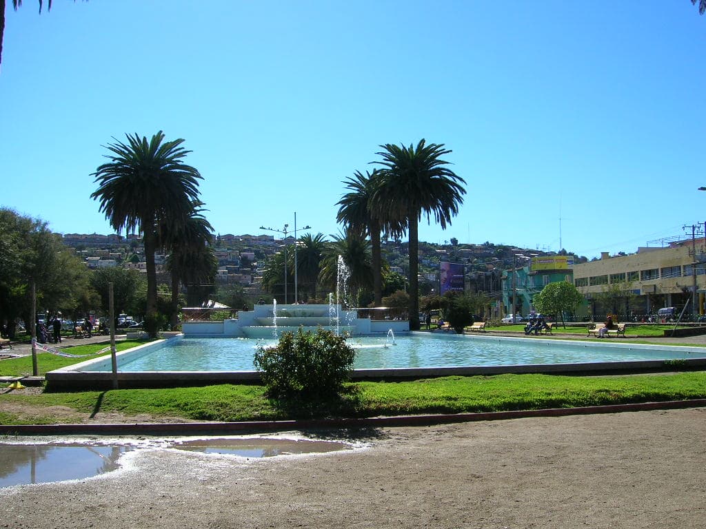 ovalle