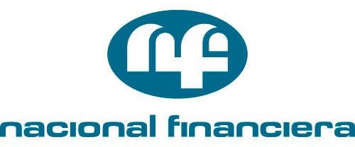 Logo NAFIN
